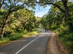 Trail Overview
