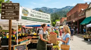 market in placer