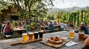 Craft beer flight on table